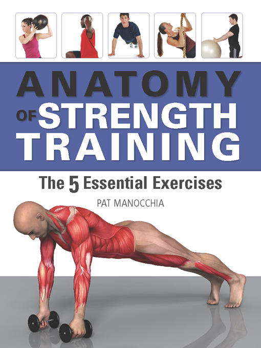 Title details for Anatomy of Strength Training by Pat Manocchia - Available